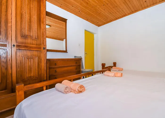 Doktor * 特罗吉尔